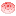 Image of Santa Hat Aura Cookie